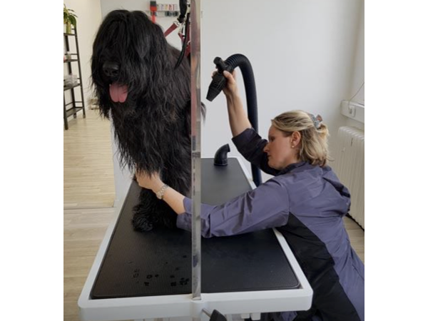 Bild 7 von Klippdog - Michaela Wimböck