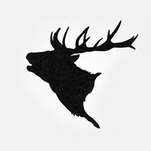 Logo von Vith Rainer