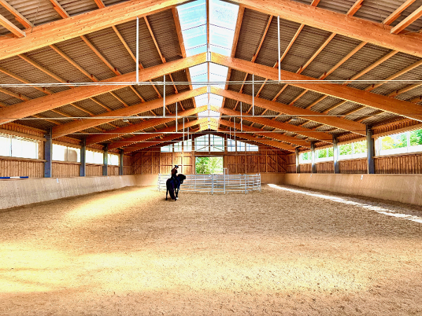 Bild 3 von Reitzentrum Reittherapie Islandpferdehof Gut Sachsengang Novotny Reitanlagenbetriebsges.m.b.H.