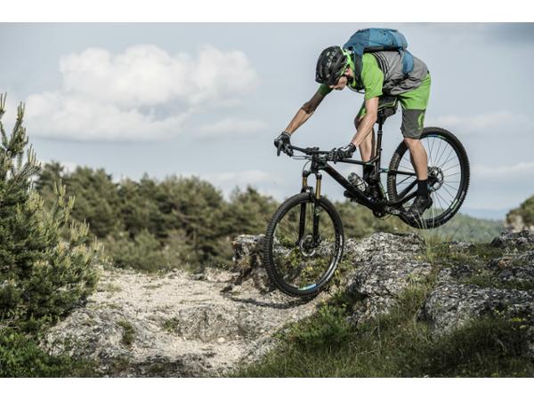 Bild 22 von Friesis Bikery GmbH