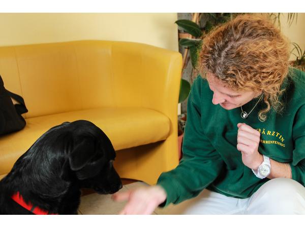 Bild 7 von TIERAMBULANZ BRIGITTENAUERLÄNDE