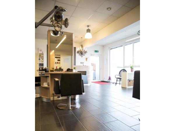 Bild 4 von Friseur Sahaare
