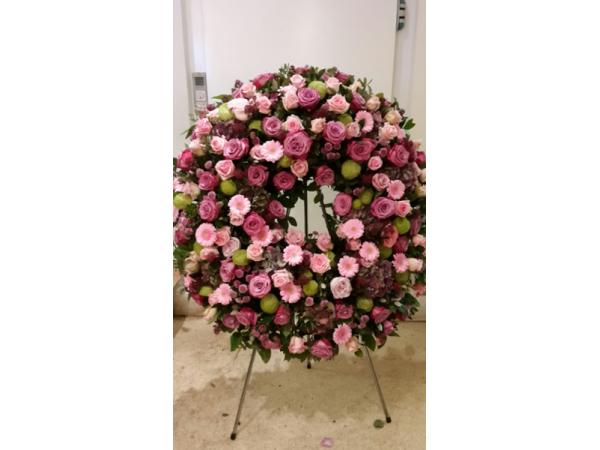 Bild 16 von Blumen Gran