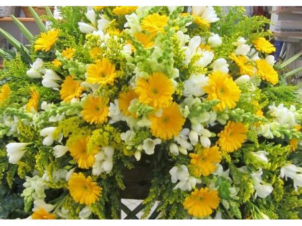 Bild 8 von Blumen Christa Rubenzucker