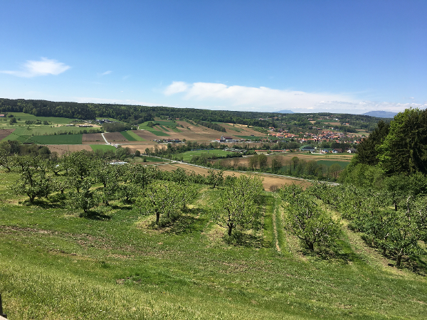 Bild 29 von Maluhof - Hofladen, Festschenke, Erlebnisgarten