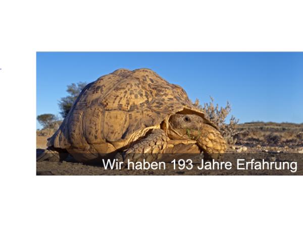 Bild 2 von Personal-Basis Management GmbH