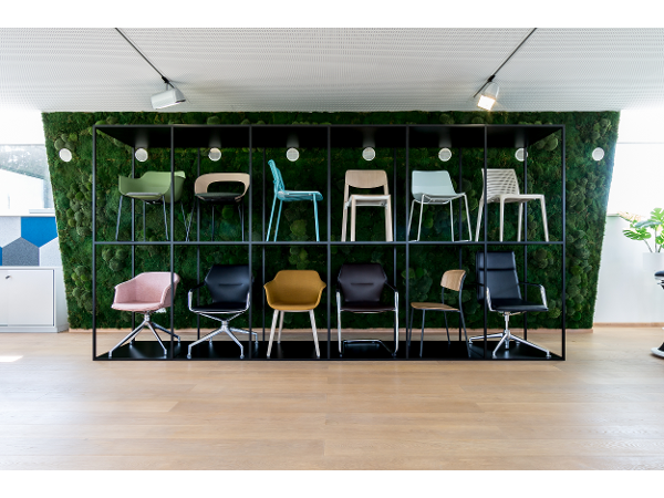 Bild 6 von Selmer GmbH