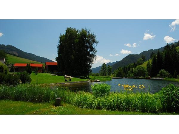 Bild 3 von Seniorenheimat Wildbolz GmbH