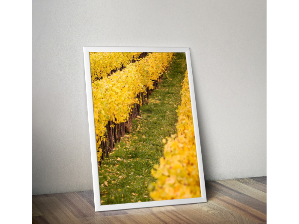 Bild 1 von Traxler Fine Art Photography