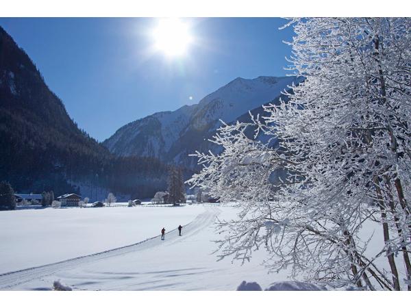Bild 11 von Tourismusbüro Neukirchen