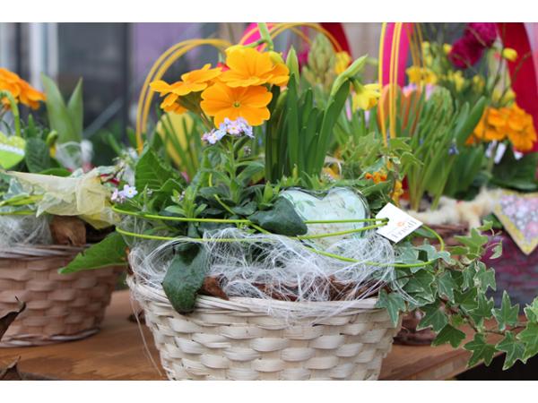 Bild 61 von Gartenbau-Blumen Helmut Friedl