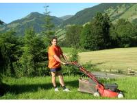 Bolego - Hausbesorgung, Gartenbetreuung, Winterdienst