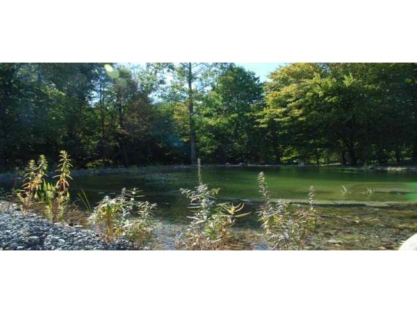 Bild 18 von Schwimmteich & Gartengestaltung Matheis KG