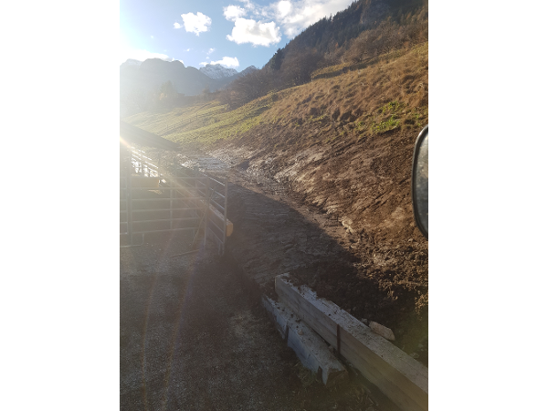 Bild 20 von Erdbewegungen Daum
