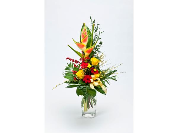 Bild 13 von Blumen Kleissner