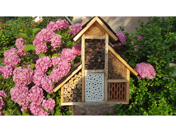 Bild 2 von Urlaub am Bauernhof - Ferienwohnungen am Gregerbauerhof
