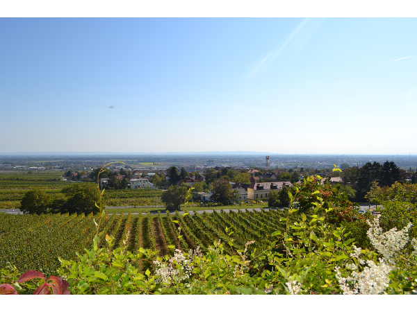 Bild 1 von Rotes Mäuerl