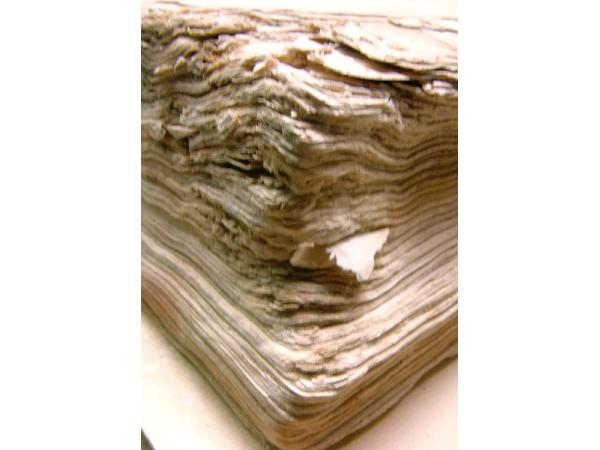 Bild 1 von Restaurierwerkstatt Irenental