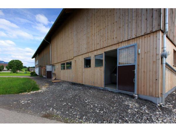 Bild 4 von Holzbau RAUCH GmbH