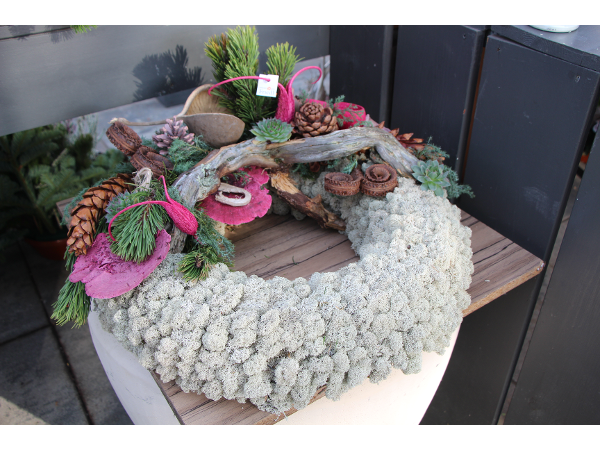 Bild 66 von Gartenbau-Blumen Helmut Friedl