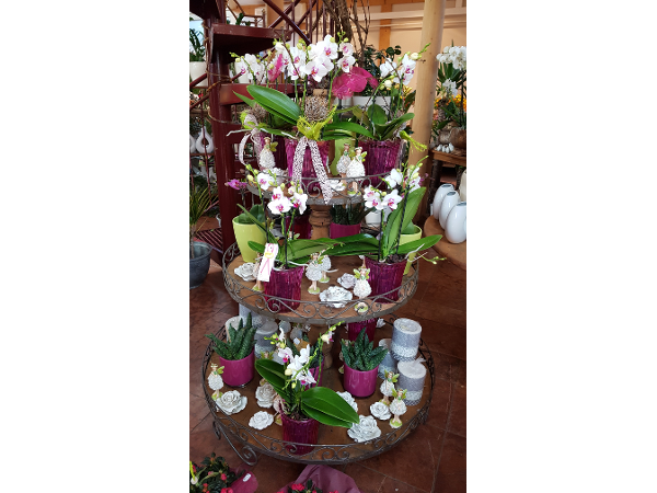 Bild 7 von Blumen Lindner GmbH