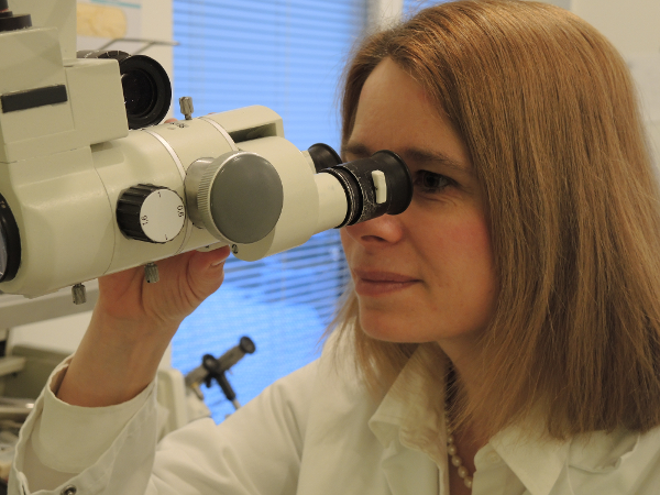 Bild 2 von Dr. med. univ. Rozsasi Ajnacska