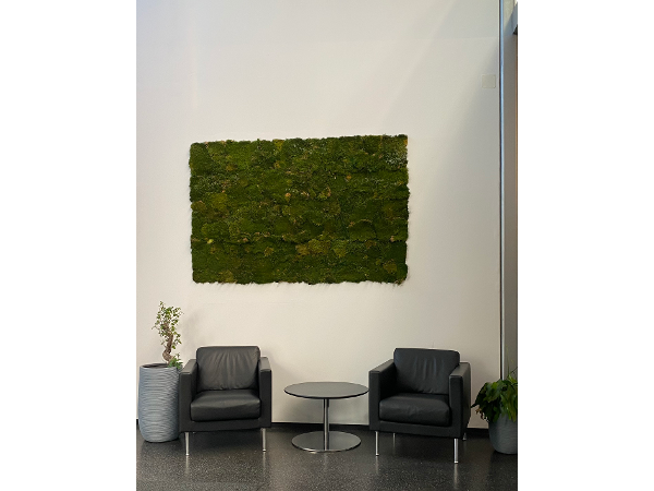 Bild 2 von Clevere Nuss IT e.U.