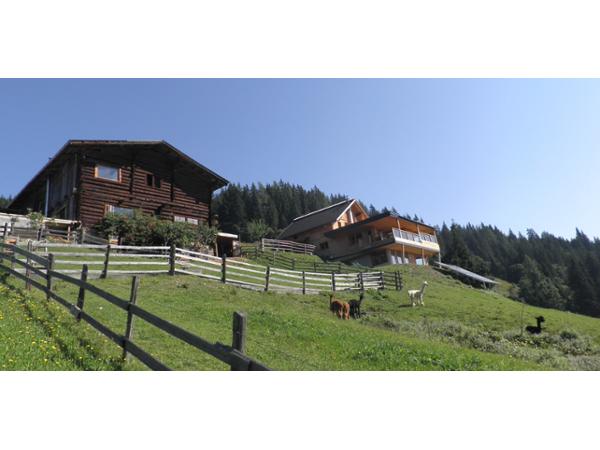 Bild 8 von kutil-architektur.at