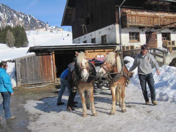 Bild 6 von Pension-Reiterhof Nigglgut