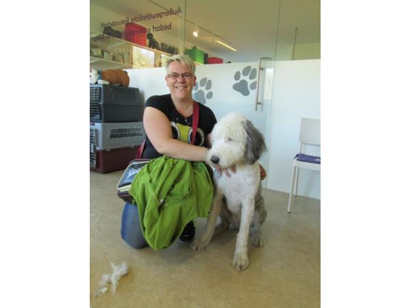 Bild 6 von Hundesalon Melanie