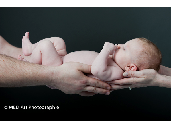 Bild 128 von MEDIArt Photographie