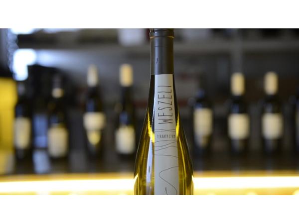 Bild 8 von Vino Zorzi GmbH