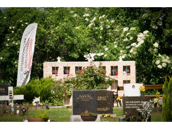 Bild 6 von Anima Tierbestattung - Tierfriedhof Waldesruh - Büro