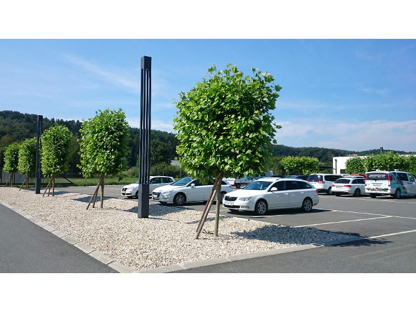 Bild 4 von Garten Erlauer Martin