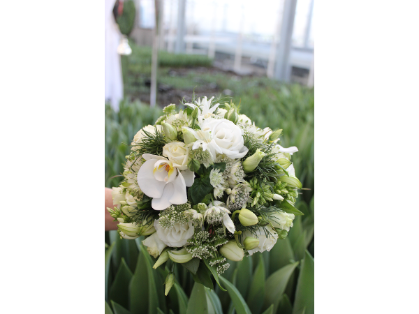 Bild 22 von Blumen Resinger