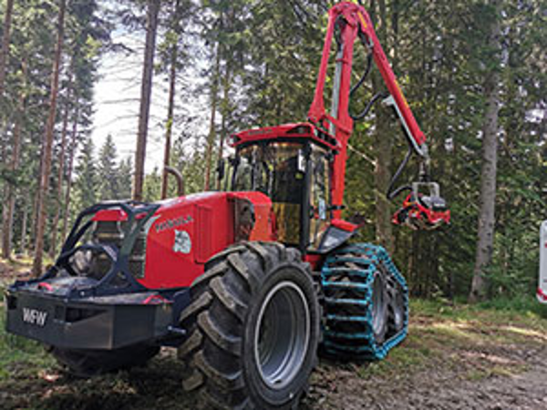 Bild 6 von Himler Holz - Holzschlägerung