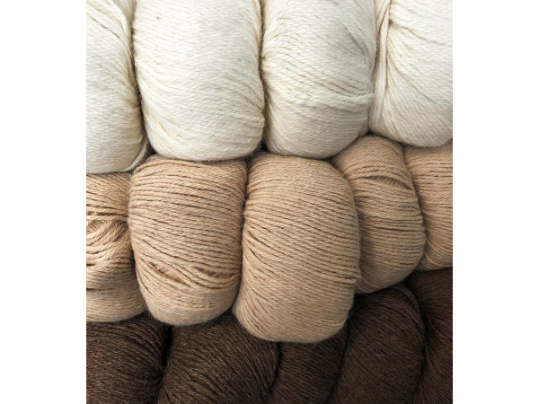 Bild 38 von Jutta's Knopfloch - Wolle und vieles mehr ...