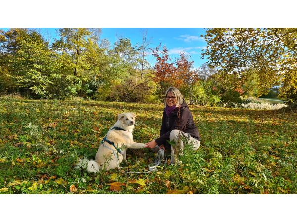 Bild 5 von Like Cats and Dogs Hunde- und Katzenverhaltensberatung Pia Weidinger, MSc