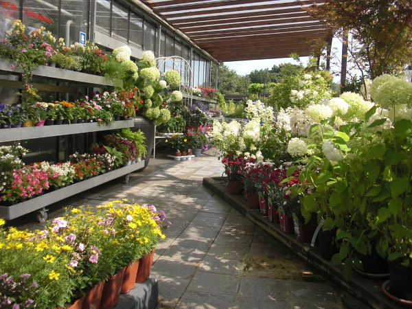 Bild 15 von Michel's Gartenmarkt