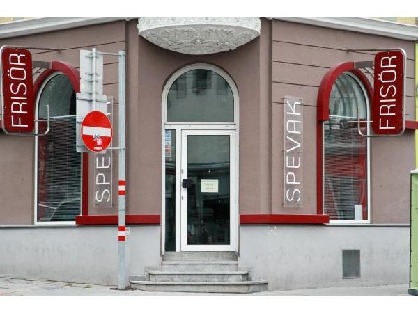 Bild 1 von Spevak Petra