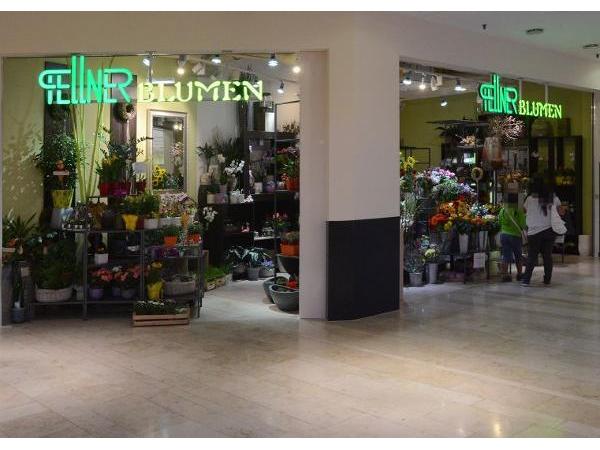 Bild 1 von Fellner Gärtner & Florist GmbH