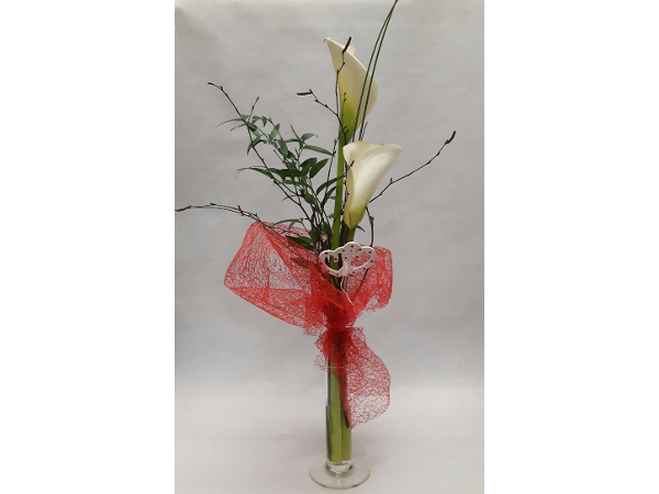 Bild 9 von Blumen Claudia