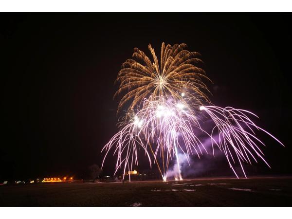 Bild 6 von Fire Flower Feuerwerkskunst