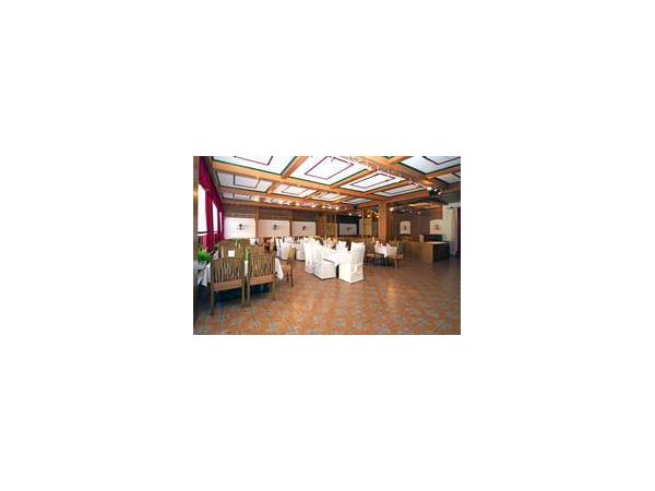 Bild 8 von Hotel Die Traube