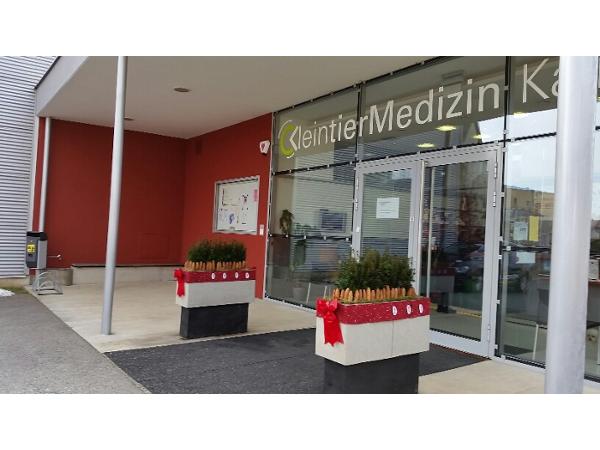 Bild 7 von Kleintiermedizin Kaindorf/Sulm Mag med vet Manfred Brandl