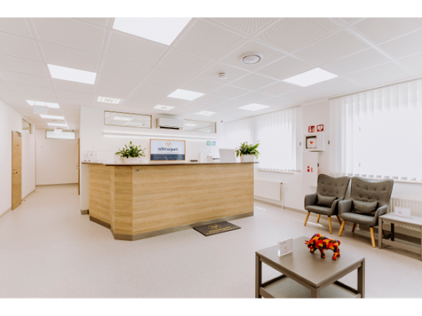 Bild 9 von Dr. Meri Knoll Psychiater und Psychotherapeutische Medizin