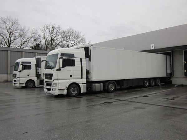 Bild 9 von D.J.T. Internationale Transporte & Handel GmbH