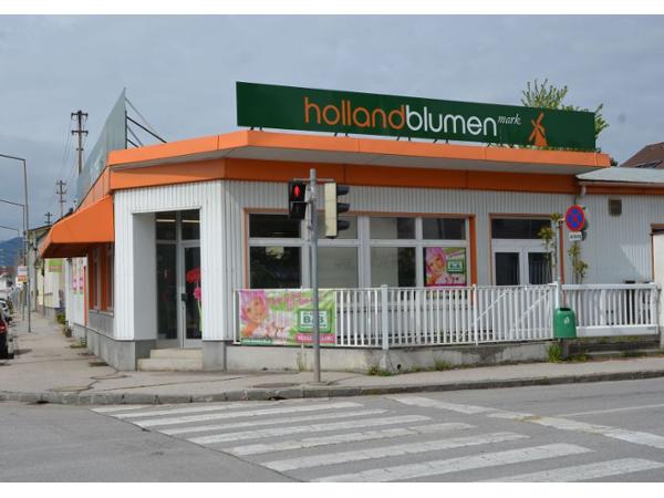 Bild 1 von Blumen B & B R. Bigl GesmbH