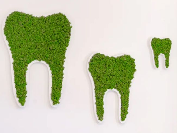 Bild 53 von Zahnarztpraxis Dr. Philipp Kaiser MMSc LLM & Kollegen