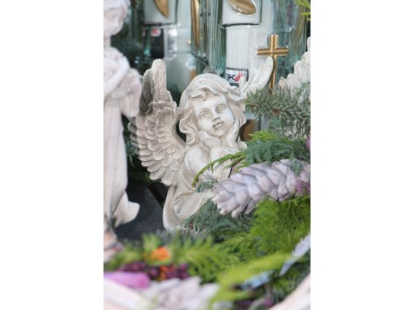 Bild 45 von Gartenbau-Blumen Helmut Friedl